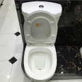 Bathroom Wc Toilet Porcelain Sanitaryware Toilet